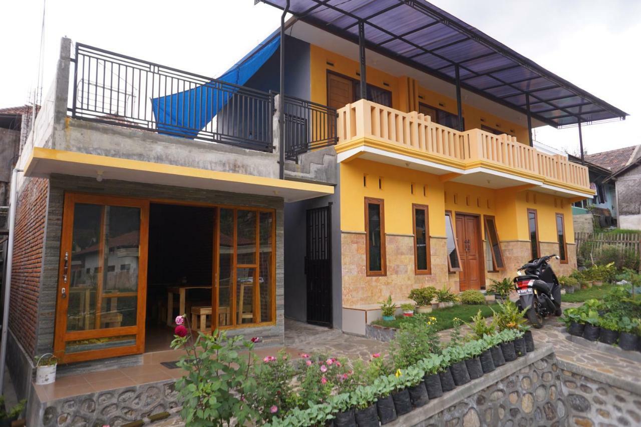 Homestay Lereng Bromo Kültér fotó