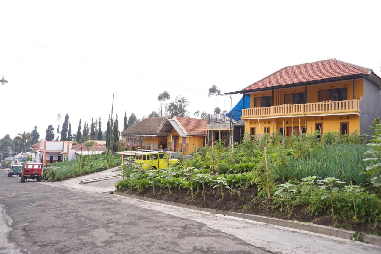 Homestay Lereng Bromo Kültér fotó