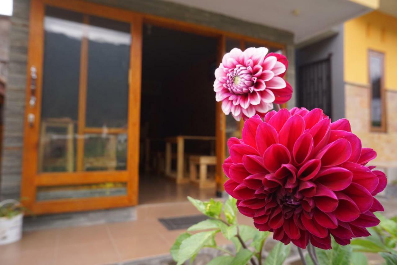 Homestay Lereng Bromo Kültér fotó