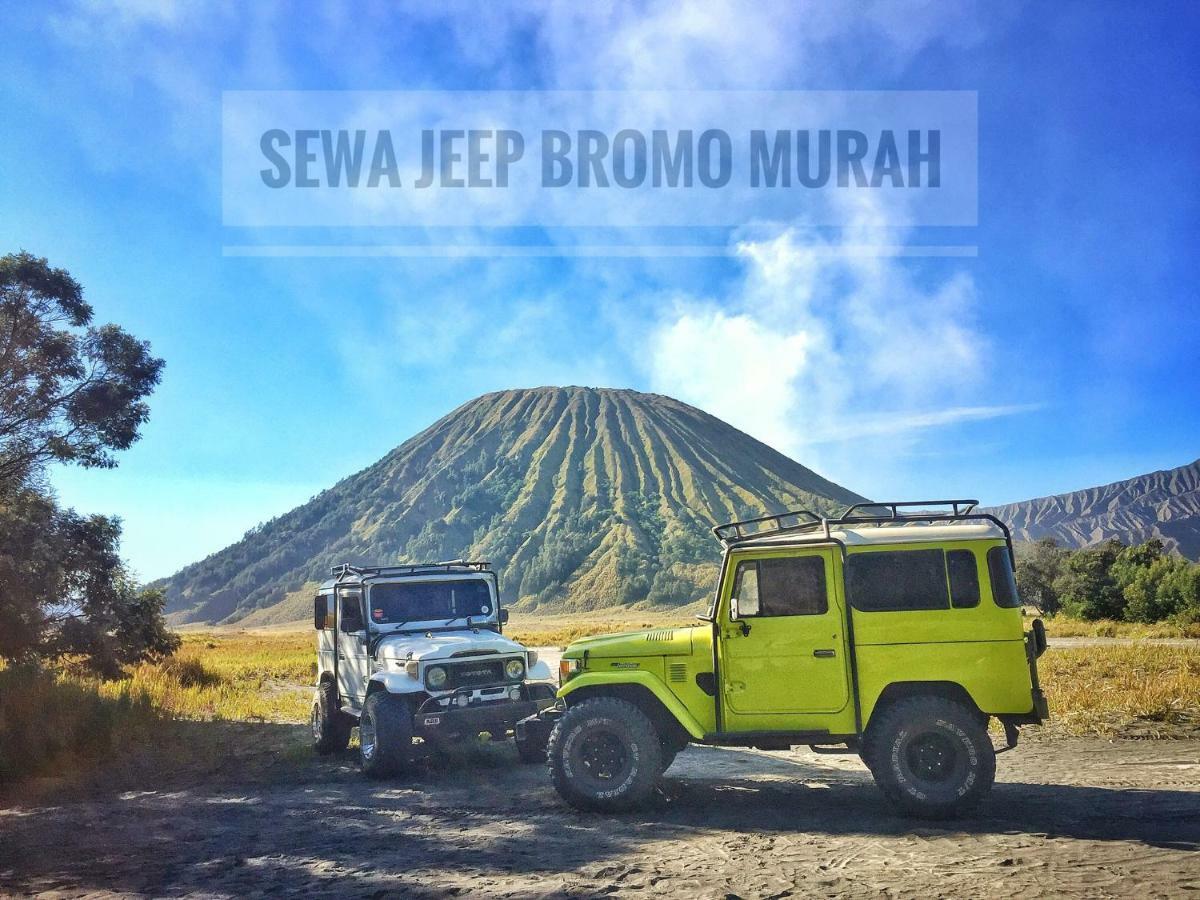 Homestay Lereng Bromo Kültér fotó