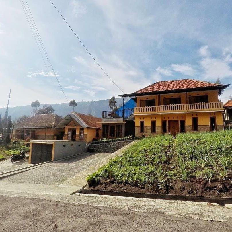 Homestay Lereng Bromo Kültér fotó